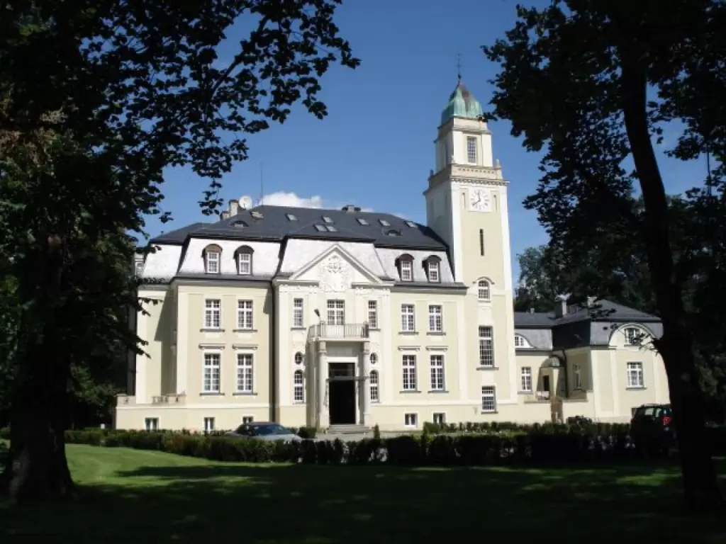 Zdjęcie Pałac Borowa****