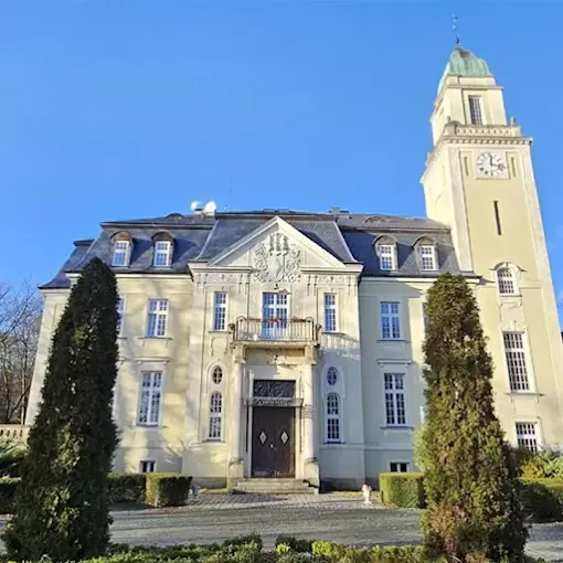 Zdjęcie Pałac Borowa****