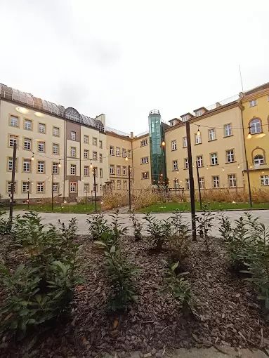 Zdjęcie 3